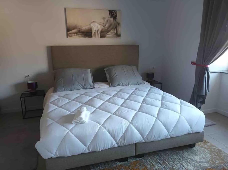 Appartamento Confortevole Deinze Extérieur photo